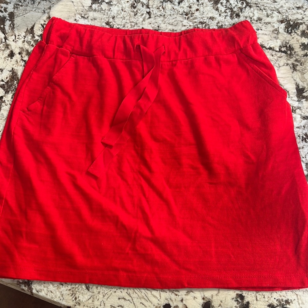 LOFT Mini Skirt